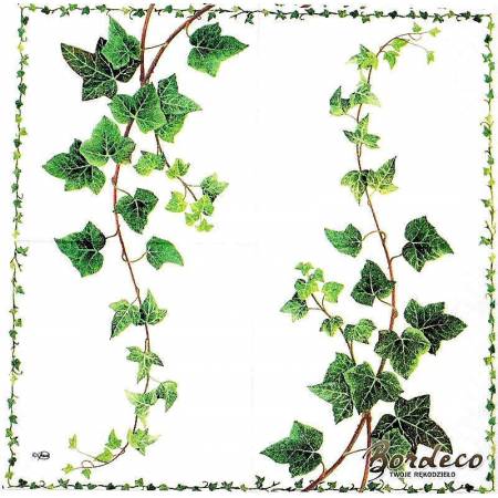 Serwetka decoupage firmy AMBIENTE bluszcz 25x25cm